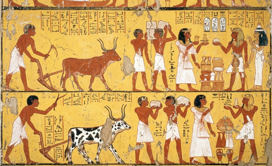 歴史が証明する「洗う」の本質。紀元前3000年前から続く、落としすぎない知恵。