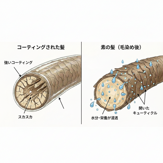 毛染めと上手に付き合う。未来の髪のために見直したい、素の髪を育てるケア