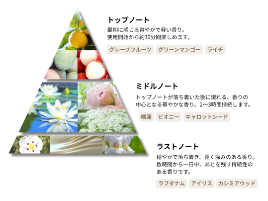 いい匂いが続くシャンプーの秘密とは？香水級の香りにこだわったシェリーベベ「香りのピラミッド」の魅力